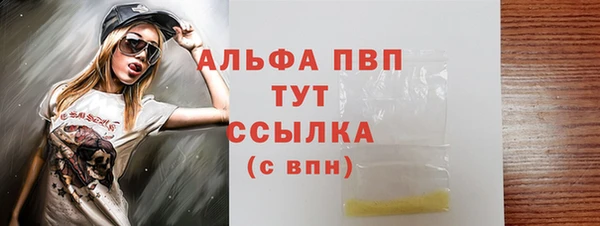 ПСИЛОЦИБИНОВЫЕ ГРИБЫ Сосновый Бор