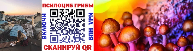 Купить где  Сольцы  Галлюциногенные грибы GOLDEN TEACHER 